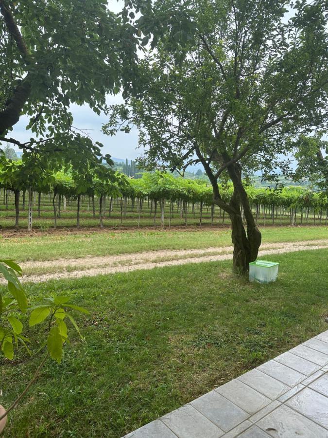 Agriturismo Fioravante San Pietro in Cariano Exteriör bild